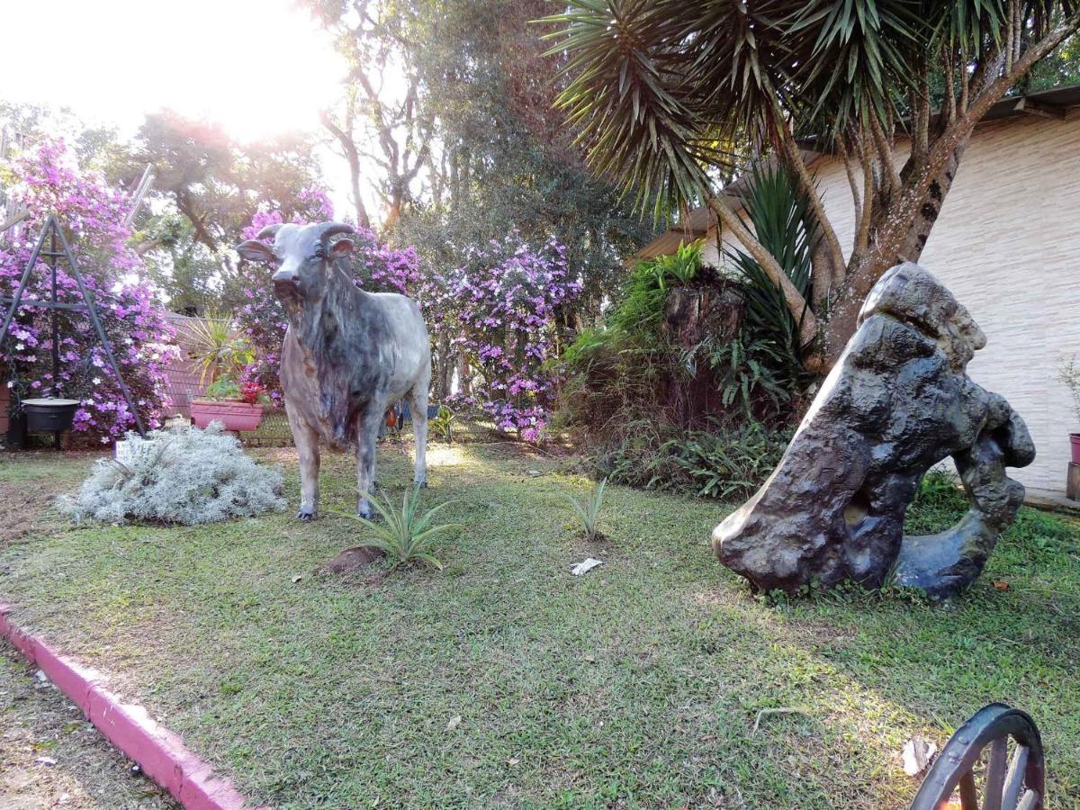 Pousada Juriti - Eco Hotel São Roque エクステリア 写真