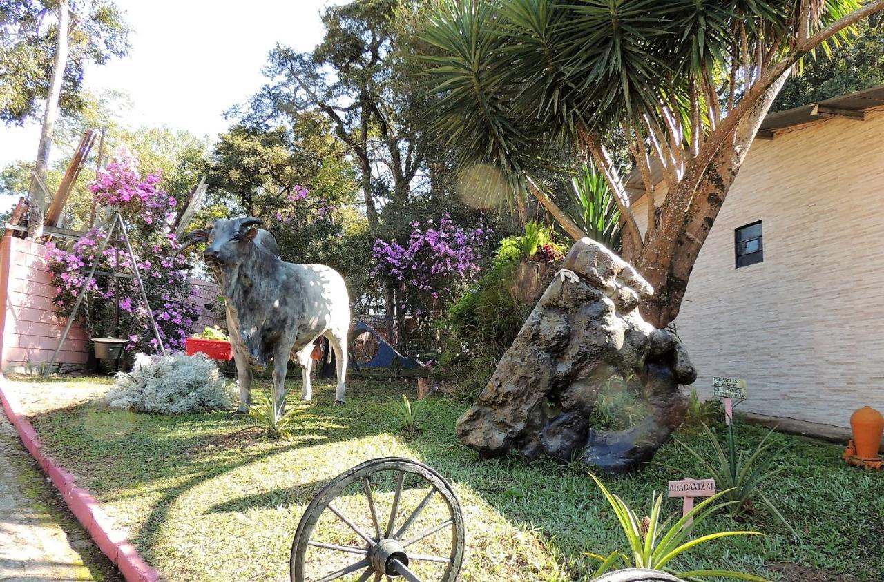 Pousada Juriti - Eco Hotel São Roque エクステリア 写真