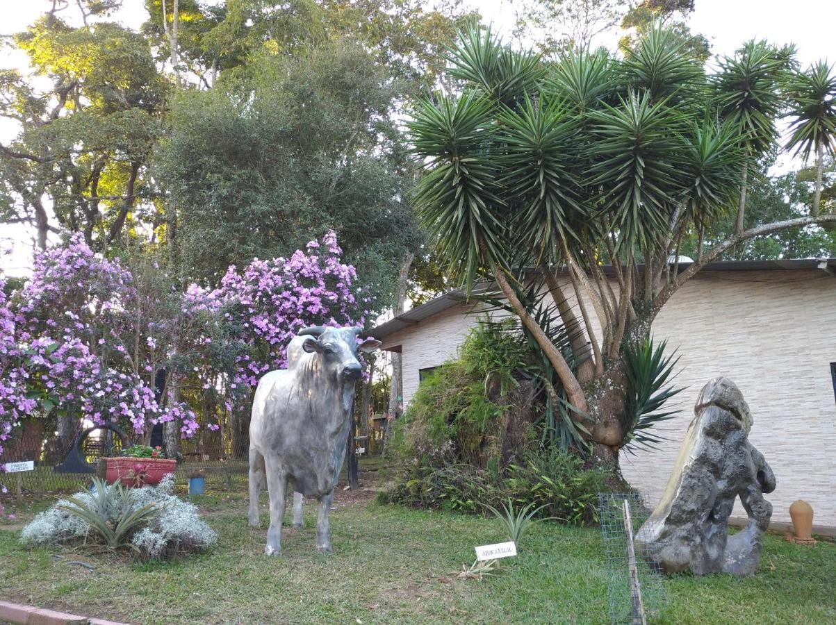 Pousada Juriti - Eco Hotel São Roque エクステリア 写真